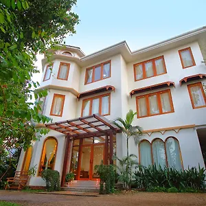 Mango Hill , Yangon Myanmar